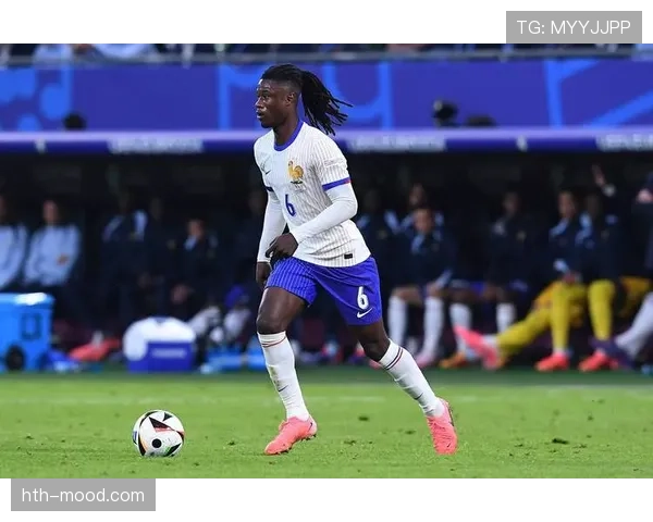 卡马文加:法国国家队中场新生代重要拼图 卡马文加:法国国家队中场新生代重要拼图